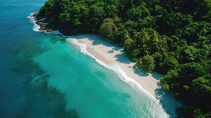 Aufkleber - Aerial view of a serene tropical beach with white sand and lush green vegetation by the turquoise ocean under bright blue skies.