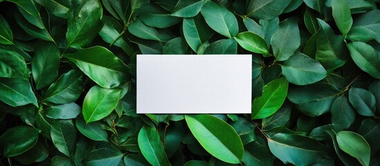Poster - White notepad on green leaves background flat lay with empty space for text creativity and branding ideas in natural setting