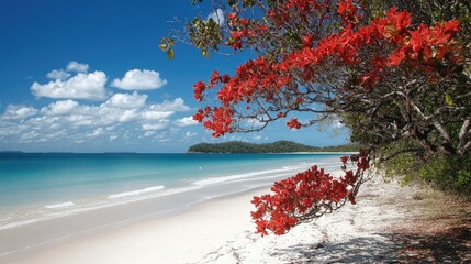 Aufkleber - serene tropical beach scene featuring vibrant bougainvillea flowers against a clear blue sky and tra