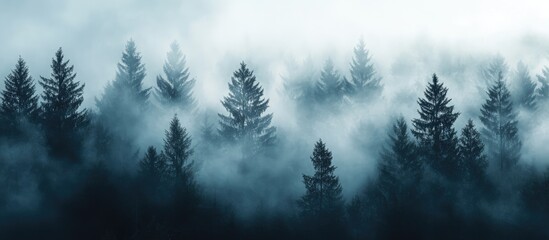 Poster - Mysterious misty pine forest landscape with dense fog and ample space for text overlay ideal for nature-themed designs and backgrounds