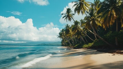 Aufkleber - Idyllic tropical beach scene with palm trees and clear blue skies showcasing serene natural beauty and tranquility by the shore.