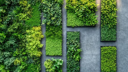 Poster - Aerial view of a lush green vertical garden featuring diverse foliage patterns and vibrant textures against a modern gray stone background.