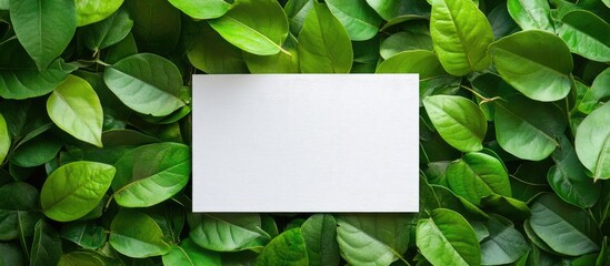 Poster - White notepad on lush green leaves flat lay background offering blank space for creative text and design elements