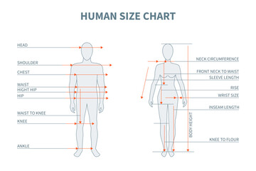 Poster - An Man and Woman Adult Body Size Chart. Vector illustration of People Silhouette Standing in a Full Length