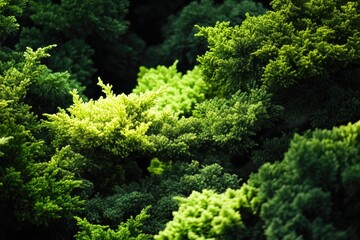 Aufkleber - A detailed view of leafy branches and stems, ideal for illustrations or designs