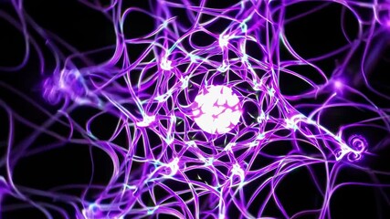 Leinwandbilder - Exploration of neural connections and brain activity through captivating visualizations in vibrant colors