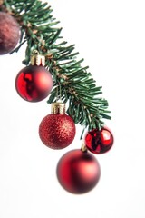 Poster - A festive branch from a Christmas tree adorned with bright red ornaments