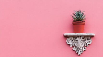 Poster - A small potted plant sits on a shelf against a bright pink background
