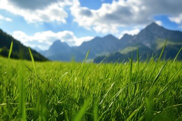 Poster - A scenic view of a green grassy area with mountains in the background, perfect for outdoor or nature-themed projects