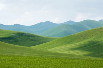 Canvas Print - Mountain scenery with lush green grass and distant mountain peaks