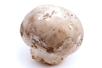 Poster - A single mushroom growing on a white background