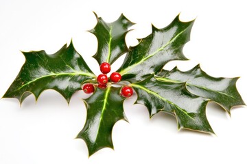 Aufkleber - Close-up of a holly leaf with bright red berries on a white background, perfect for holiday or nature-themed designs
