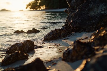 Poster - A serene sunset scene with warm colors and calm waves