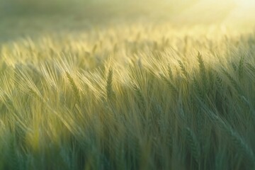 Poster - A detailed shot of lush green grass, suitable for backgrounds or nature-themed projects