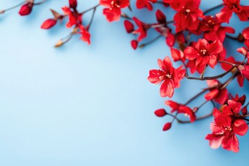 Poster - A close-up view of a vibrant red flower branch set against a calm blue background