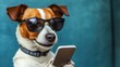 © CStock - Best digital apps to organize and enhance the lives of today pet parents.