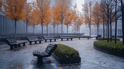 Poster - Foggy autumn morning in city park with benches and yellow leaves.