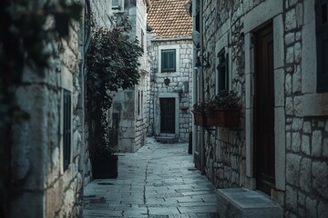 Poster - Narrow cobblestone alleyway in historic European town, stone buildings, potted plants, shadows.