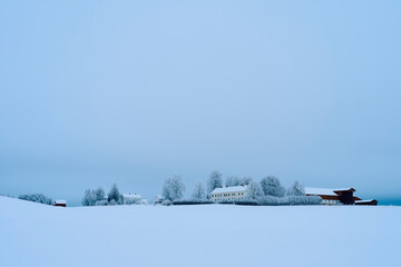 Wall Mural - The cultural landscape of Toten, Norway, a day in January 2025.