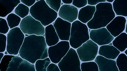 Poster - Minimal art, Geometric polygon network creating cellular like tessellation, mimicking microscopic organic structures with intricate visual complexity