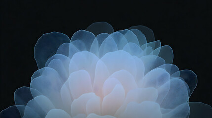 Poster - Minimal art, Minimalist digital art featuring a delicate flower with translucent petals blooming softly in the dark, creating an ethereal atmosphere