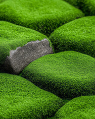 Aufkleber - A captivating macro image of moss-covered rocks, emphasizing the tiny green filaments and intricate textures that create a lush, natural carpet,
