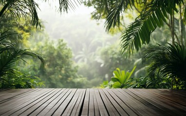 Poster - Wooden deck overlooking a lush, misty tropical rainforest.