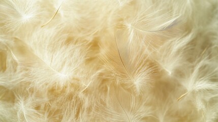 Aufkleber - Soft, light beige feathers background texture.