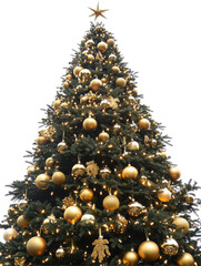 Isolated Golden Decorated Christmas Tree