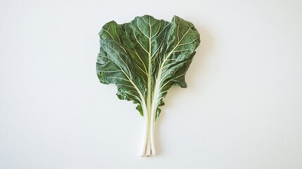 Poster - Fresh, vibrant chard leaves with thick stems isolated on white background.