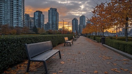 Poster - City park path with benches at sunset, autumn leaves.