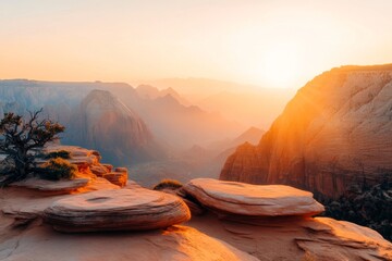 Poster - A panoramic view of Zion Canyon at sunrise, with layers of cliffs and plateaus glowing in warm light