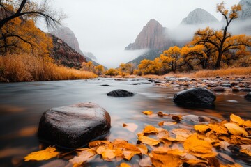 Poster - A quiet morning in Zion, with fog rolling through the canyon and soft light creating a mystical ambiance