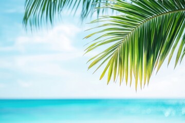 Lush palm leaves frame serene ocean view under bright blue sky