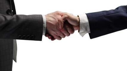 Wall Mural - Businessmen's handshake in close-up on a white background