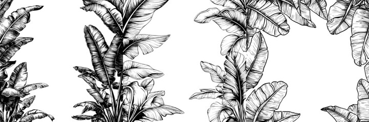 Canvas Print - Square frame decorated with banana leaves. Black and white. Hand-drawn modern illustration