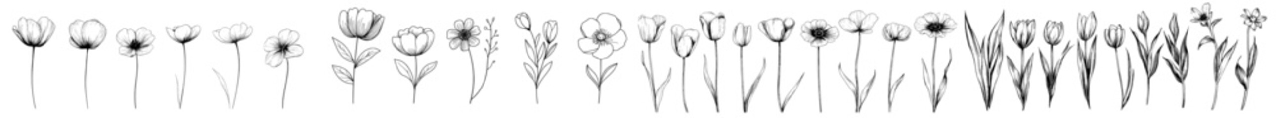 Fototapete - A collection of hand-drawn black modern floral designs featuring grunge-style dirty decorative flowers, isolated on a white background. This modern ink graphic art showcases expressive brush strokes