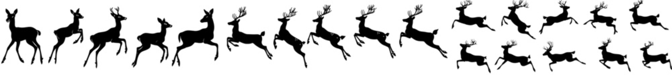 Wall Mural - Silhouette of a male deer in modern icon style on a white background