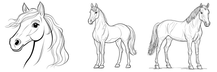 Wall Mural - A stunning, lifelike horse stands on a black background, depicted in a hand-drawn modern sketch with a doodle-engraved vintage line art style. This concept represents farm life and domestic animals