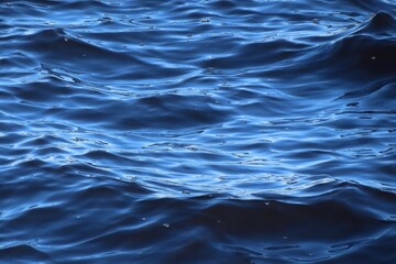 Wall Mural - Close up of rolling waves on blue surface of river water