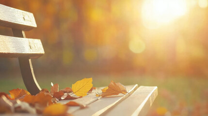 Aufkleber - serene park bench adorned with colorful autumn leaves, basking in warm sunlight