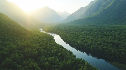 Poster - Lush green valley with winding river surrounded by mountains, creating serene landscape