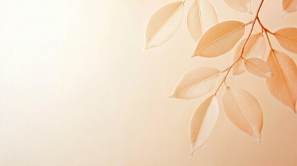 Poster - Delicate soft pink backdrop with elegant leaves creating serene atmosphere