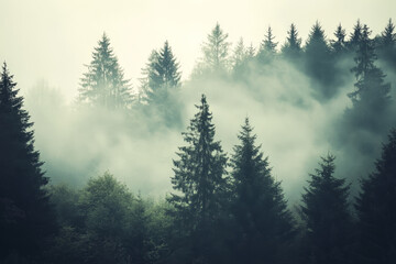 Wall Mural - misty landscape with mountains and dark moody fir forest in hipster vintage retro style