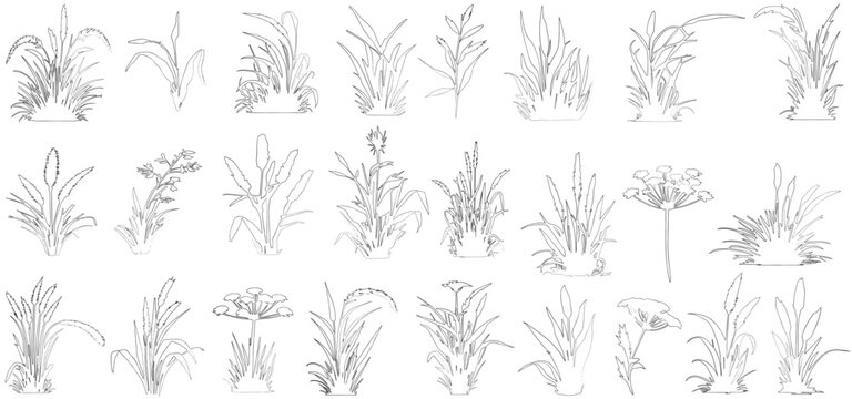 plant elevation line silhouettes outline - grass, shrub, tree big set vector