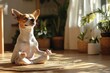 © Olga - cartoon dog sits in a lotus position and meditates. a pet does yoga in a room bright from the sun. breathing exercises, sports activities