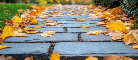 Poster - Vibrant autumn leaves in shades of orange and yellow scattered on a stone pathway surrounded by lush greenery, ideal for seasonal text overlays.