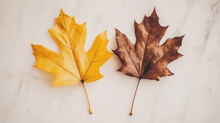 Poster - Autumn leaves in vibrant yellow and brown shades on a soft light background symbolizing seasonal change and nature's beauty.