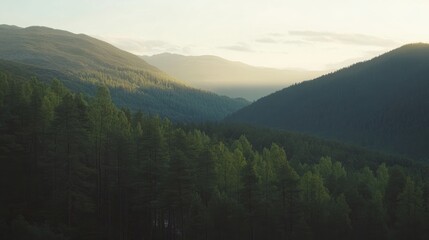 Poster - Twilight alpine wilderness landscape showcasing lush forests and majestic mountains under soft evening light