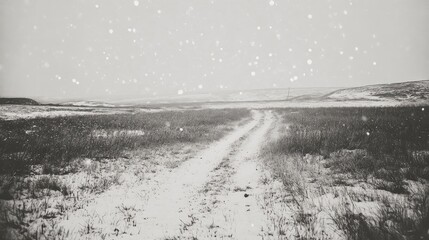 Poster - serene winter landscape with snowflakes gently falling on an empty field under clear skies creating 